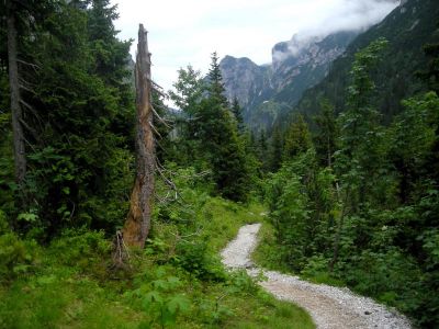 019-Auf dem Hoellentalanger